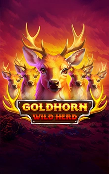 goldhorn_wild_herd